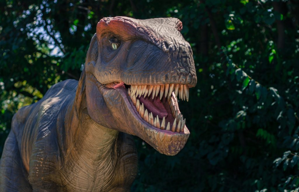 Dinosaurs in the jungle